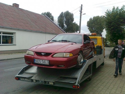 Zdjęcie5871.jpg