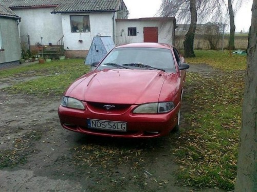 Zdjęcie6116.jpg