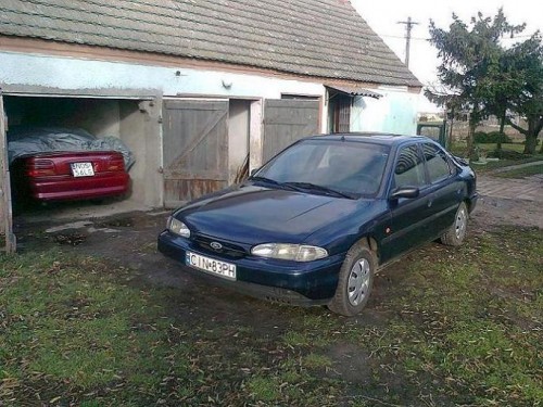 Zdjęcie6342.jpg