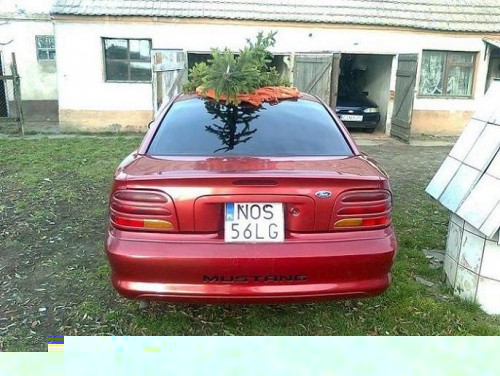 Zdjęcie6467.jpg