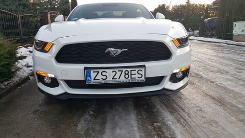 zólte przerobione.jpg