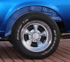 Mustang_2723-001 (Kopiowanie).JPG