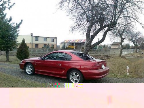 Zdjęcie7069.jpg