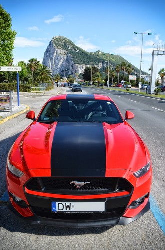 DSC_0829_s.jpg