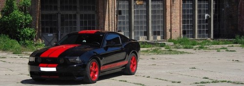 mustang (23).JPG